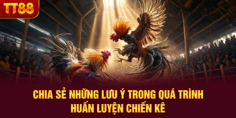Kỹ Thuật Nuôi Gà Chọi