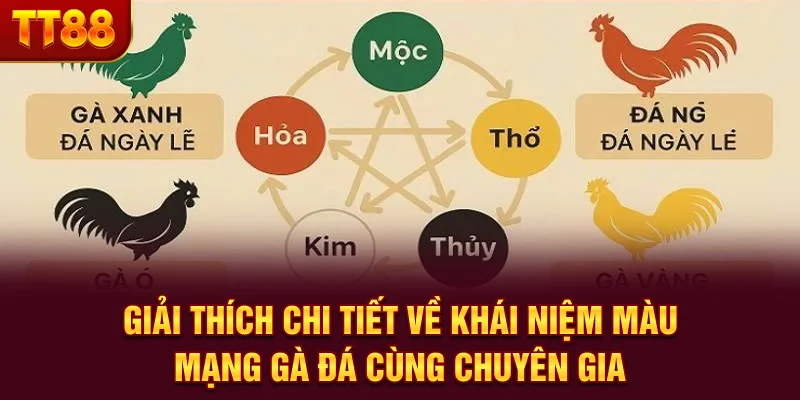 Màu Mạng Gà Đá